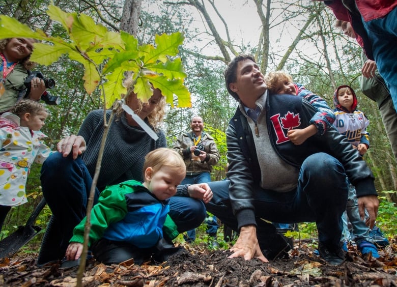 ottawa reveals its latest plan to plant 2 billion trees by 2030