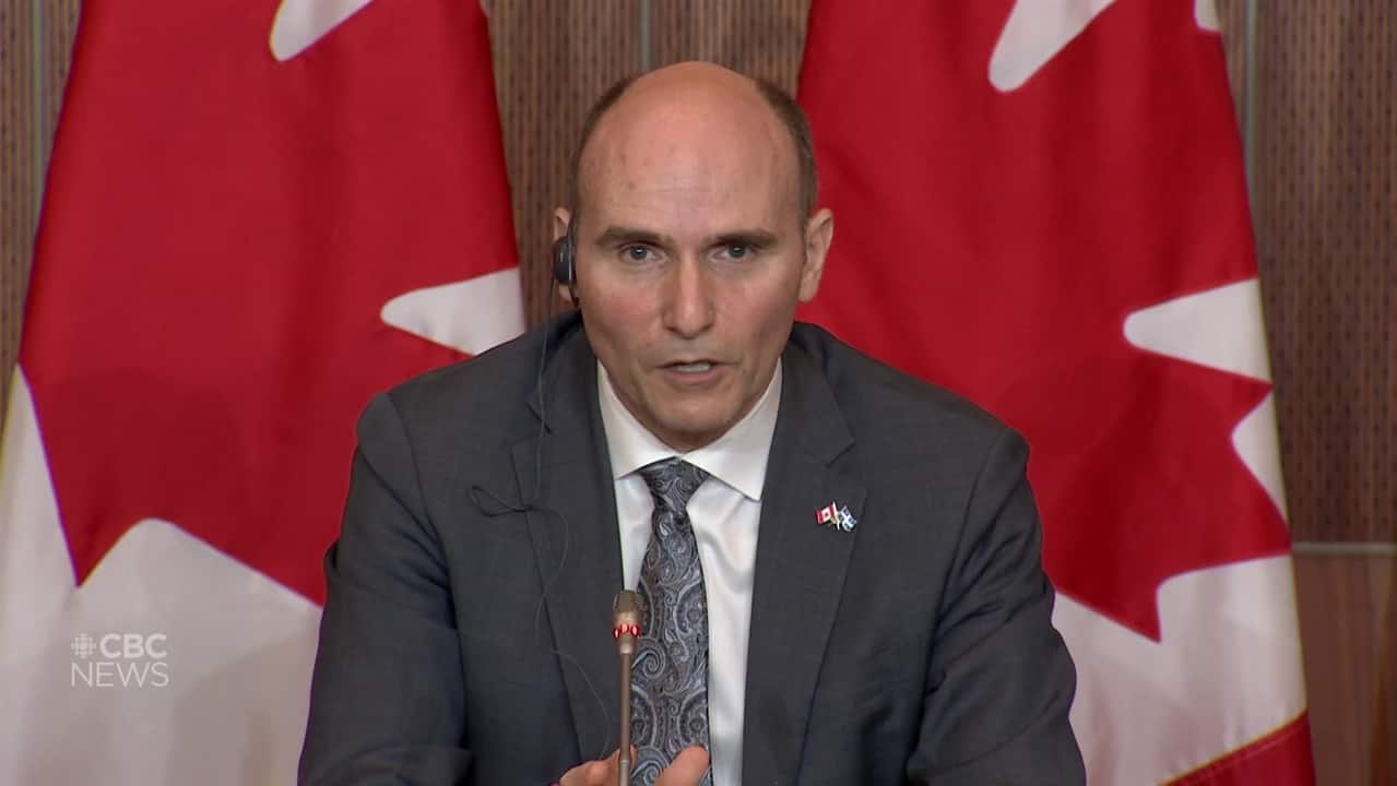 Provinces could make vaccination mandatory, says federal health minister