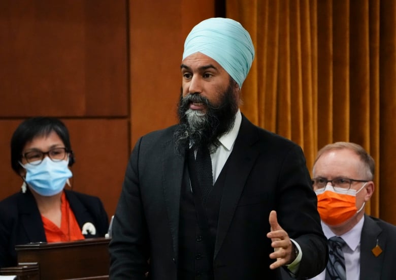 trudeau seeks ndp bloc support to prevent conservative obstructionism 2