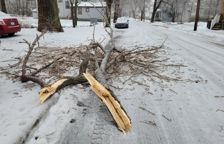 Icy storm knocks out power to tens of thousands in Nova Scotia