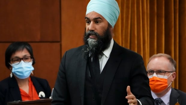 NDP calls for emergency debate as Ottawa protest stretches into 2nd week