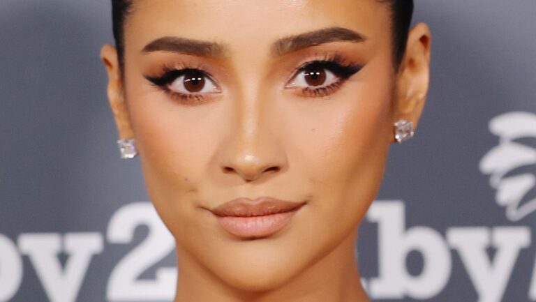 Shay Mitchell Shares Poignant Message About Bittersweet Second Pregnancy