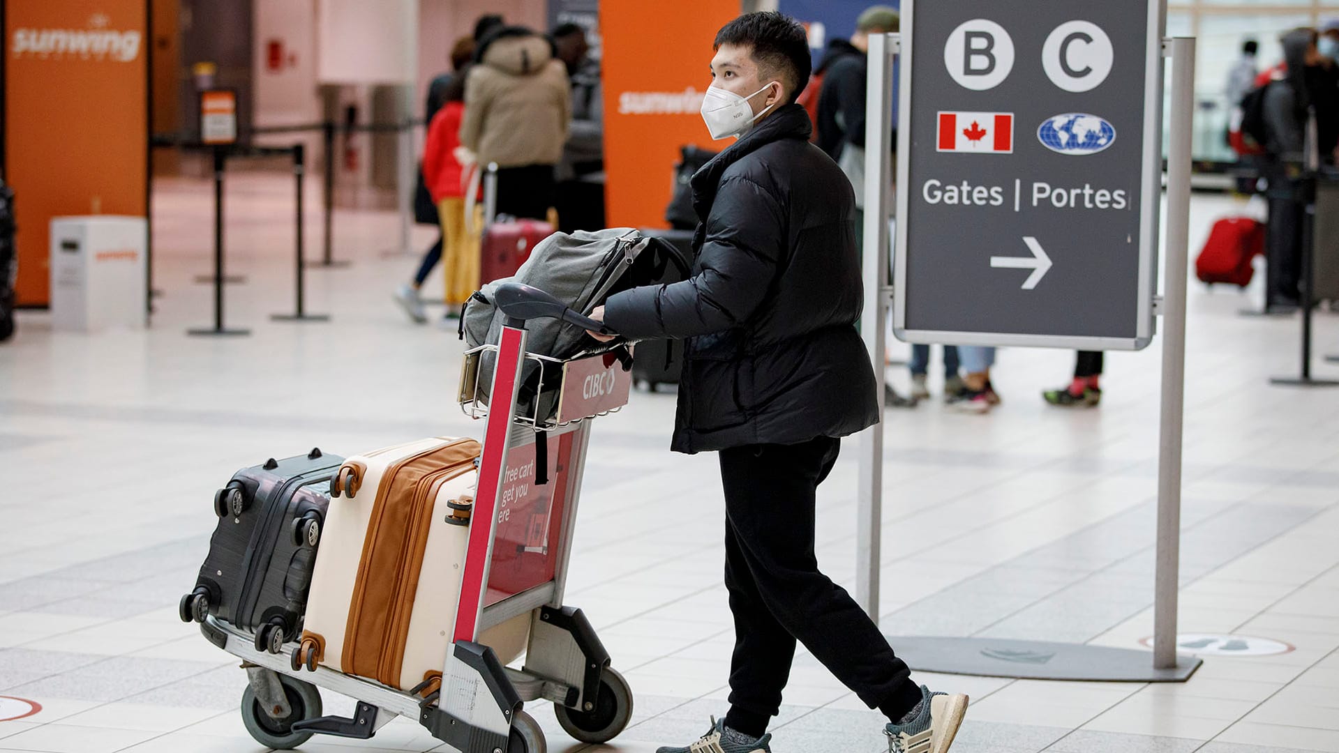 travel agencies flooded with requests after ottawa says it will drop pre arrival pcr test for travellers 2