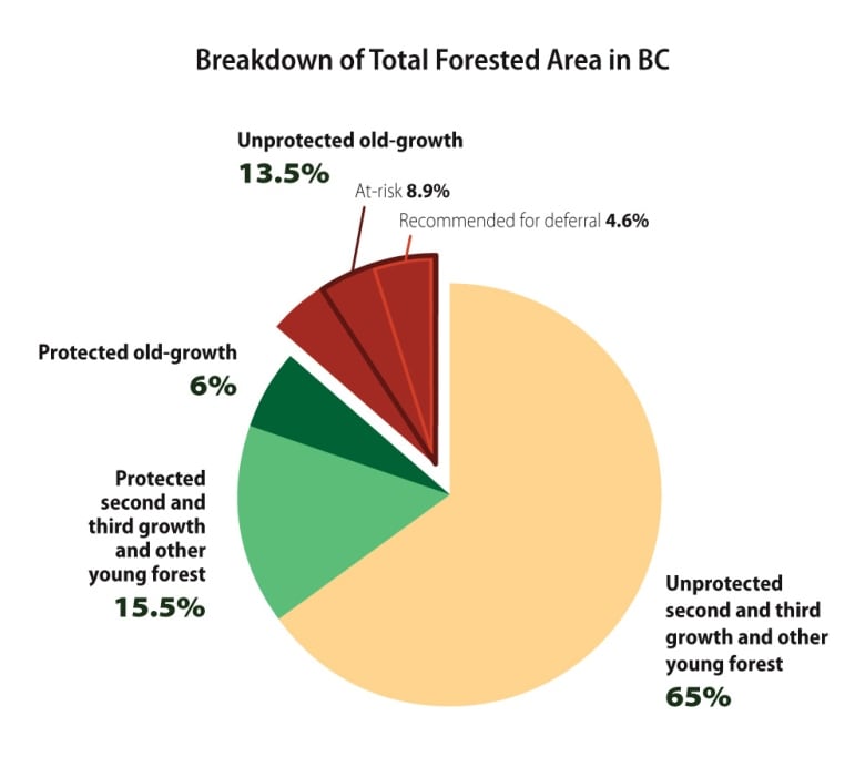 b c government announces additional logging deferrals for at risk old growth trees 1