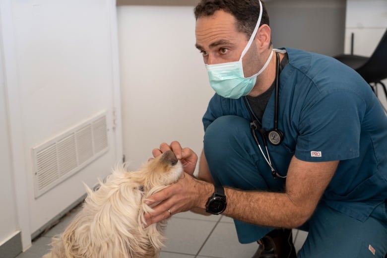 Canada's veterinarians are not OK — overwork, pet owners, debt load leading to burnout