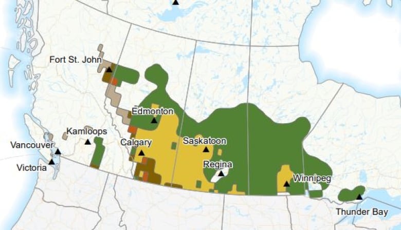 forest fire season off to a quiet start in ontario but experts warn of possibly challenging year ahead 1
