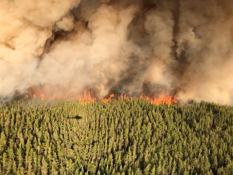 forest fire season off to a quiet start in ontario but experts warn of possibly challenging year ahead 2