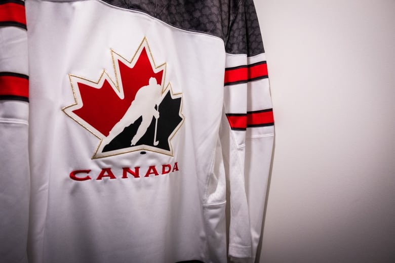 Documents reveal Hockey Canada received $14M in federal funds over the past 2 years
