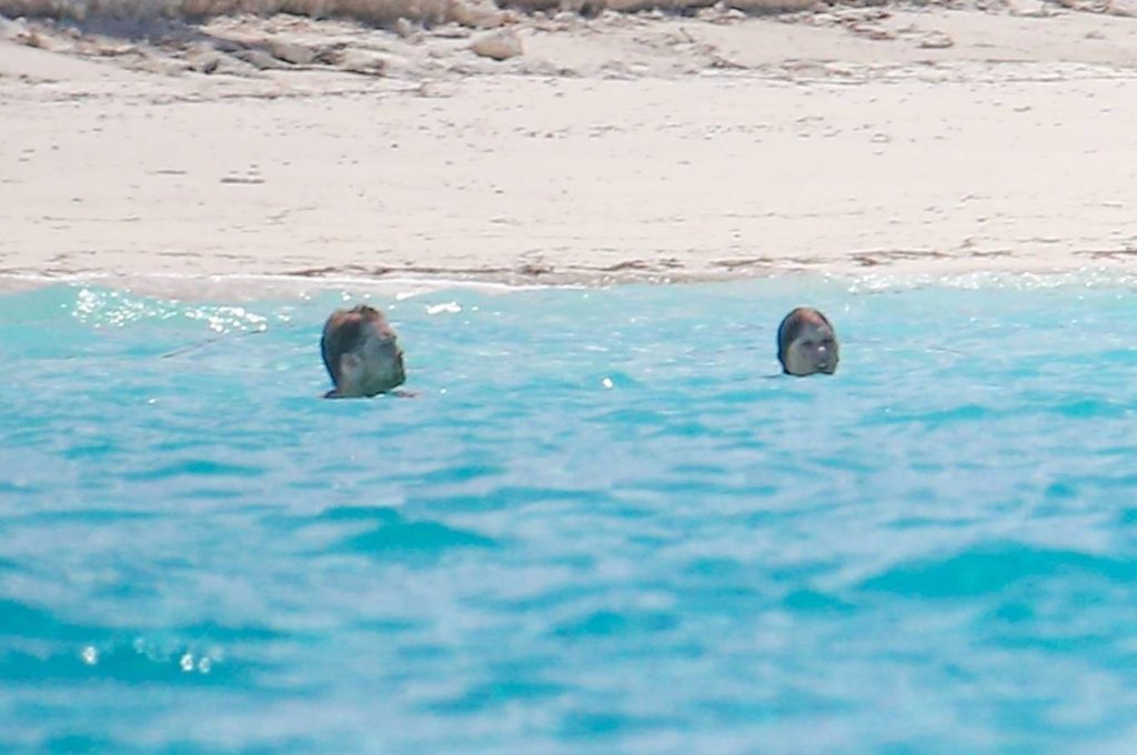 taylor swift spotted in a bikini at a beach in the bahamas 2