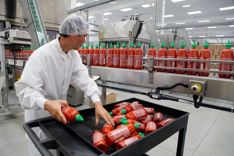 A man packages bottles of sriracha in a factory.