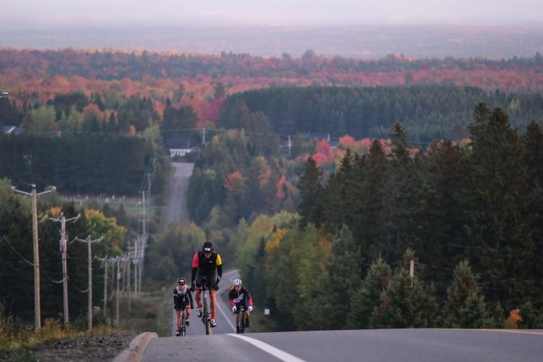 Three cyclists climb a steep hill, with autumn foliage ablaze with colour on surrounding slopes.