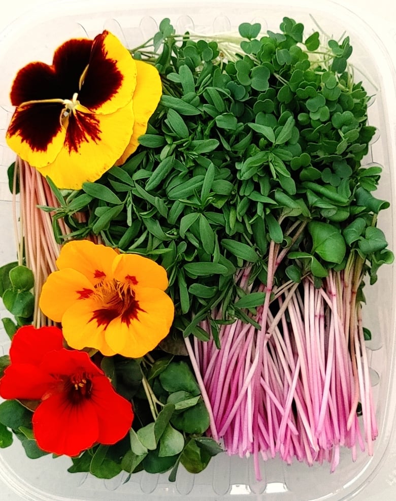 Microgreens and edible flowers in a plastic container.
