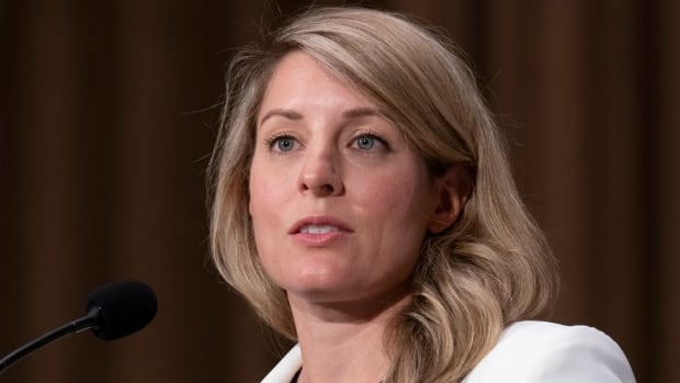 Ottawa announces new sanctions on Russia targeting disinformation, manufacturing