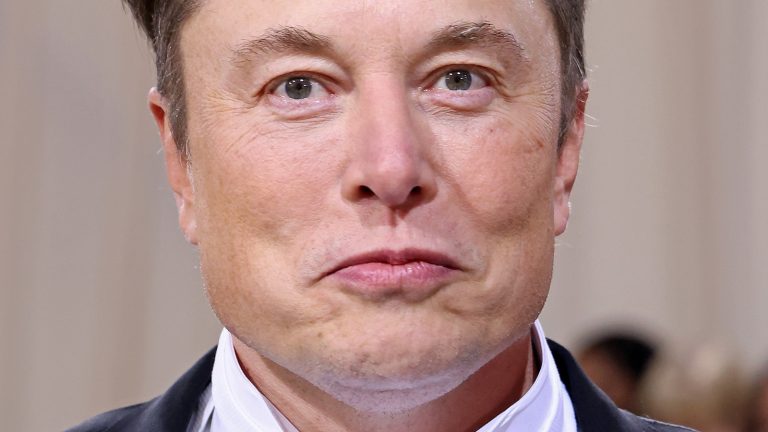 The Unsaid Truth About Elon Musk’s Children