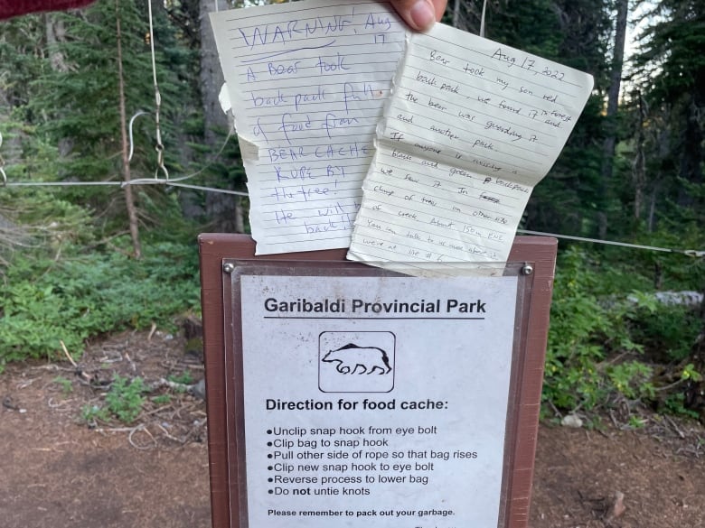 black bear killed in b c park after snatching backpacks from hangers at backcountry site 1