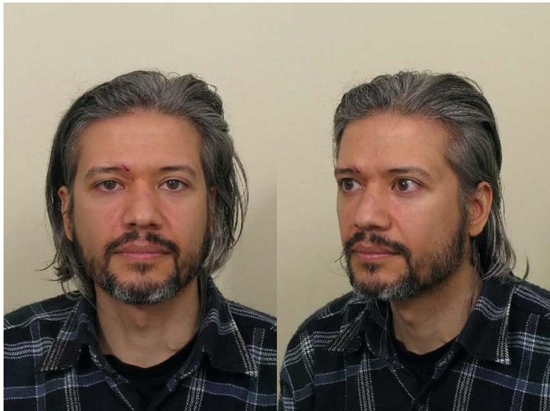 Two mugshots of Aydin Coban. He is wearing a black shirt with white stripes. He has medium-length grey flowing hair amd a black French beard.