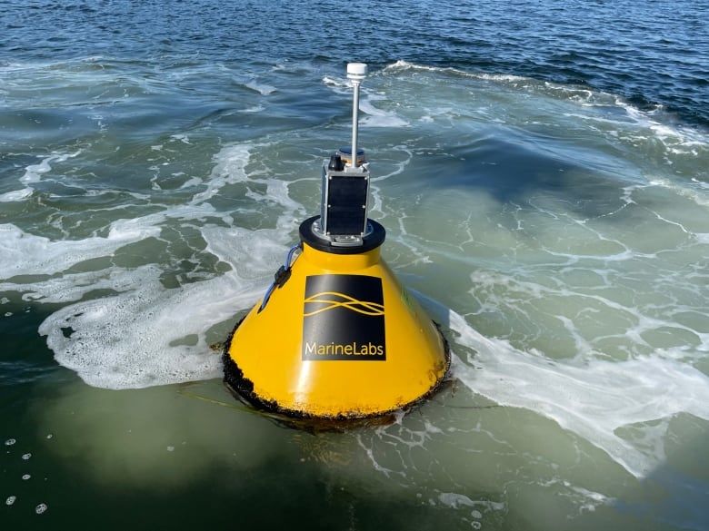 A yellow buoy with the text MarineLabs on it, in the ocean.