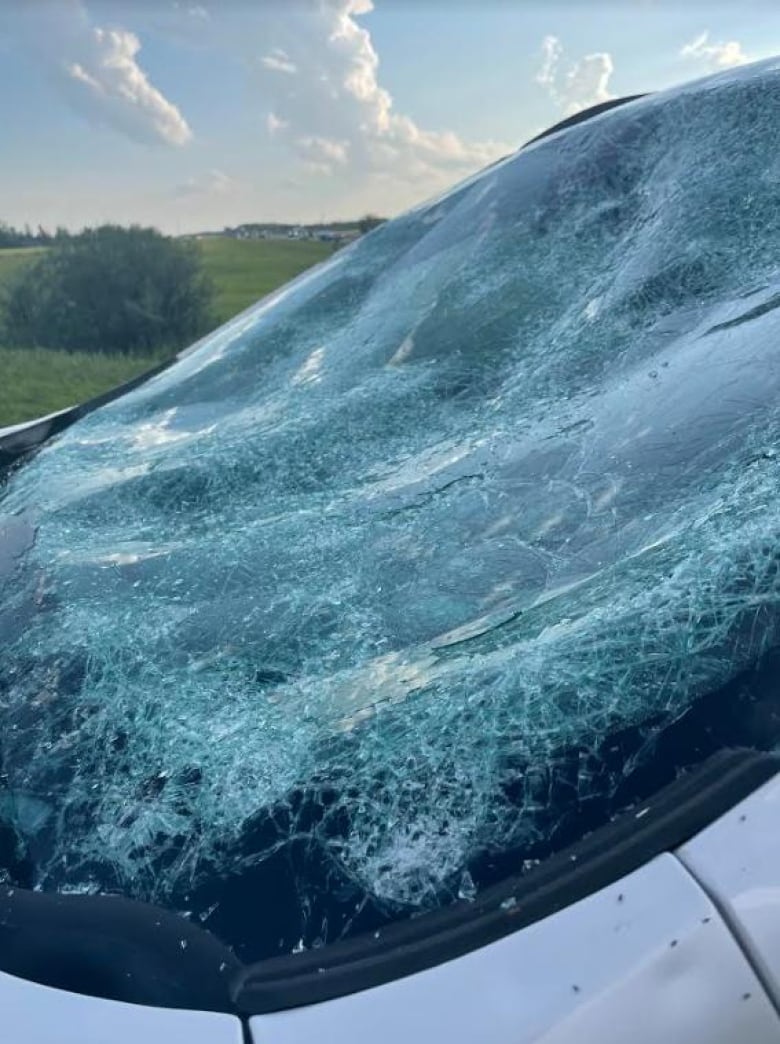grapefruit sized hail fell in alberta monday and it may break a record 4