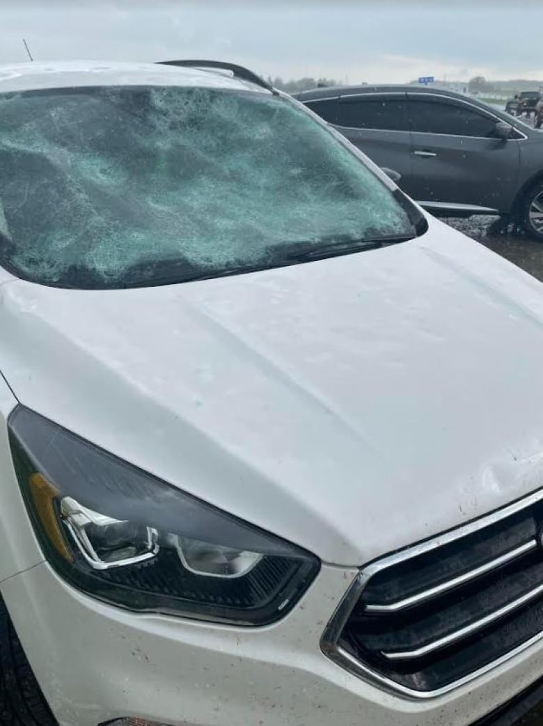 'Grapefruit-sized hail' fell in Alberta Monday, and it may break a record