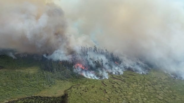 n l government declares state of emergency as forest fires rage