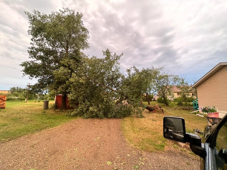 Northwestern Alberta community comes together after potential tornado hits