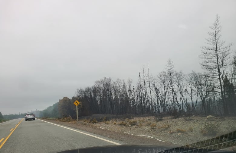 A road, as seen from behind the windshield of a vehicle. The sky is overcast and the air is smoky. Charred vegetation can be seen on the side of the road.