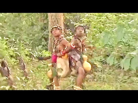 this aki pawpaw movie the bush babies will make you laugh fart from your bum a nigerian movie