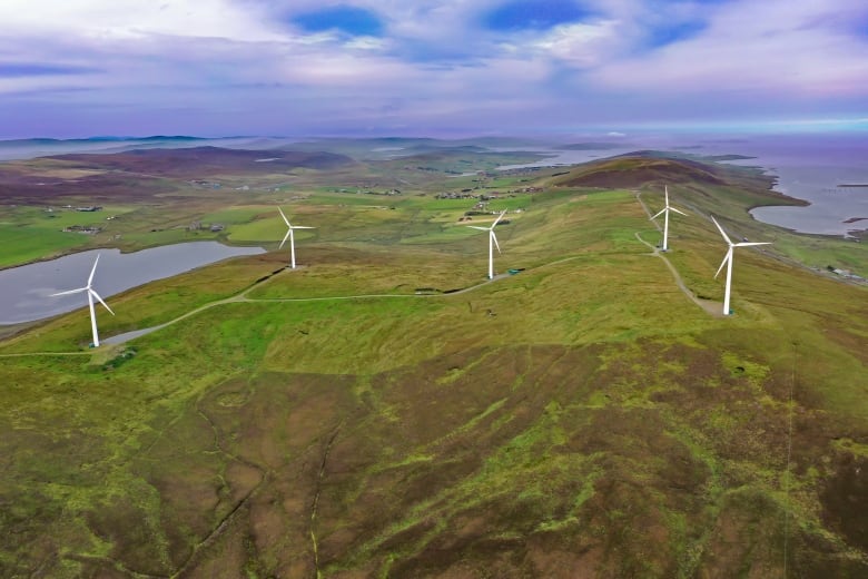 timeline for massive n l wind project extremely ambitious consultant says