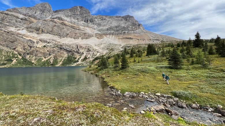 after 50 years westslope cutthroat trout return to lake in banff national park 2