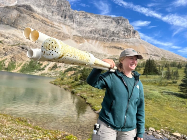 after 50 years westslope cutthroat trout return to lake in banff national park