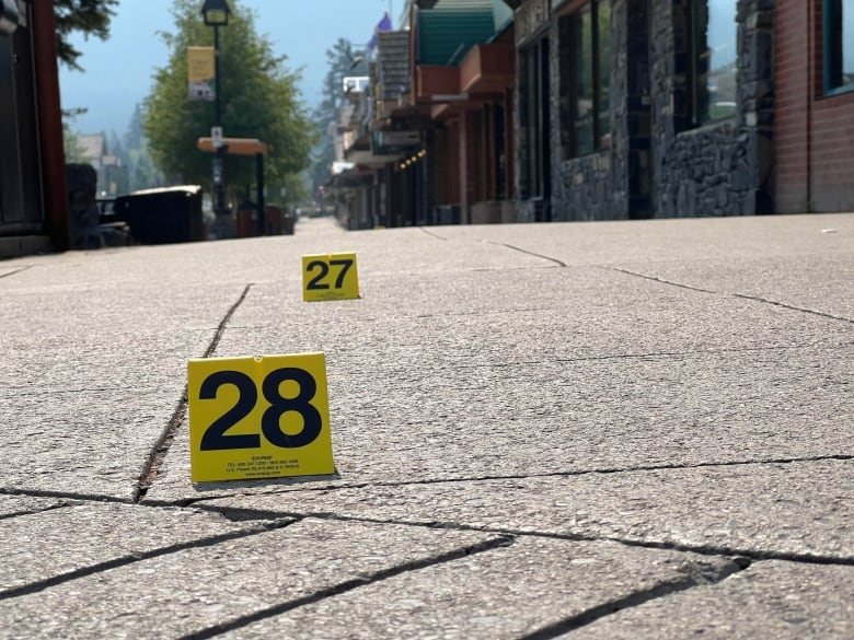 Numbered crime markers are seen on a pavement.