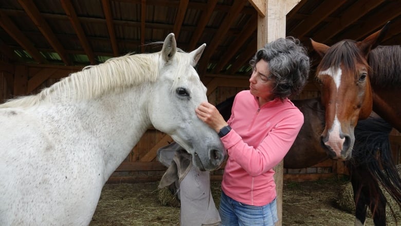 beloved veterinarian takes her own life leaving west quebec equine community shocked saddened 3