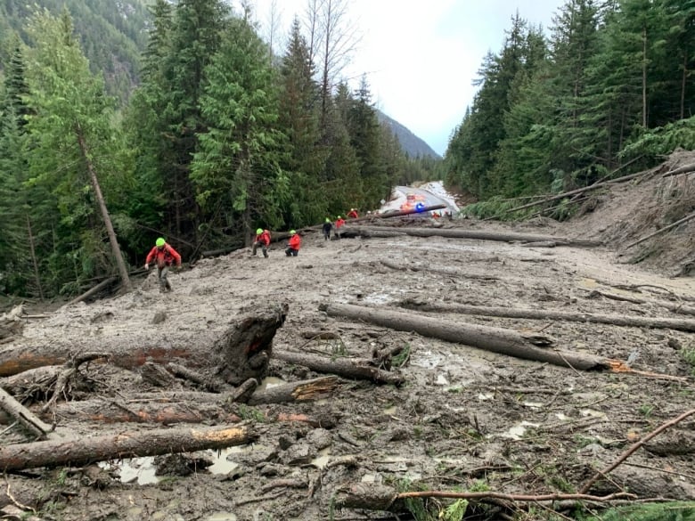 fatal landslide blamed on old logging road raises fears about hidden risks near canadas highways 5
