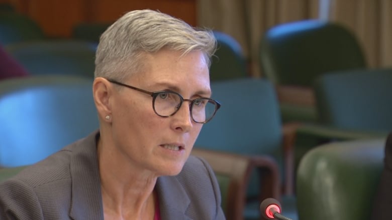 indigenous groups rally around mary ellen turpel lafond amid calls for proof of her cree ancestry