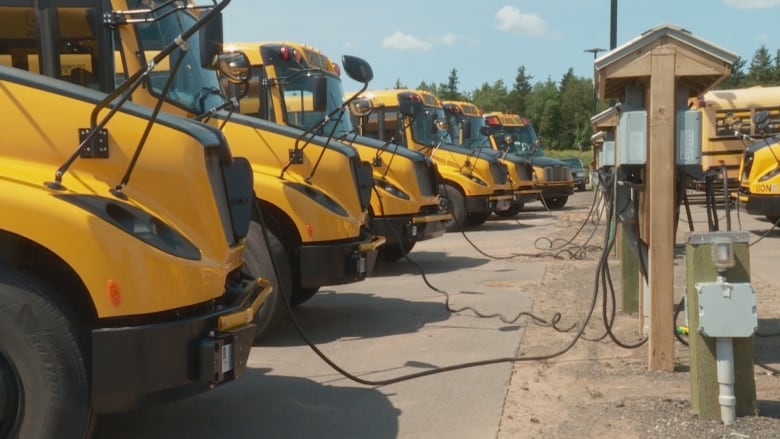 walk to school events growing electric bus fleets encourage greener treks to school 2