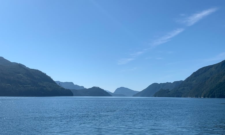 Loughborough Inlet is located within the Great Bear Rainforest, in an area that has been heavily affected by logging and industry.