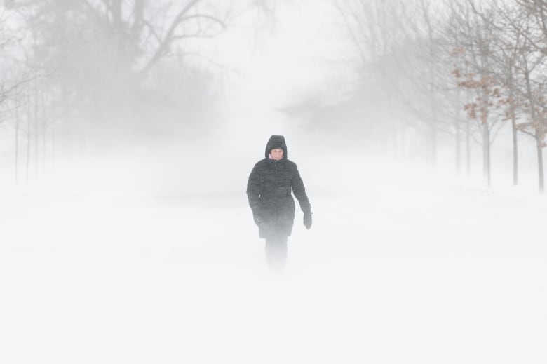 Une personne vêtue d'un épais manteau d'hiver traverse une tempête de neige.