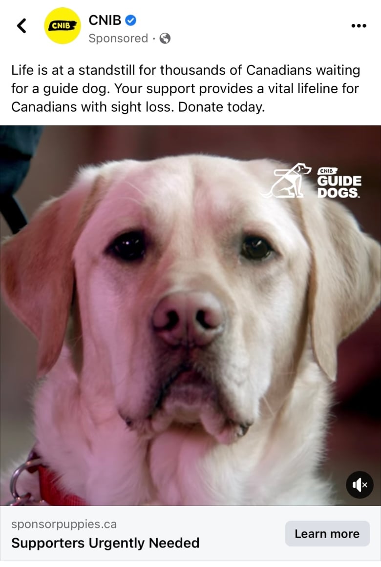 A CNIB Facebook ad with the the face of a guide dog says "thousands" of Canadians were waiting for a guide dog.
