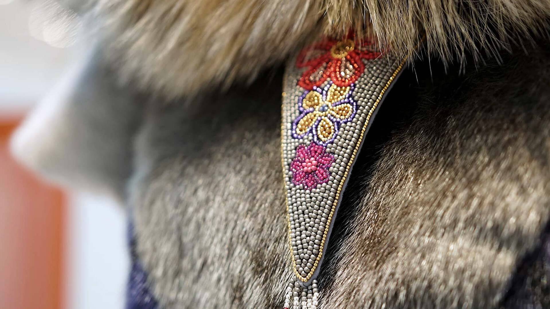 how indigenous people are strengthening fur traditions in an anti fur world 3