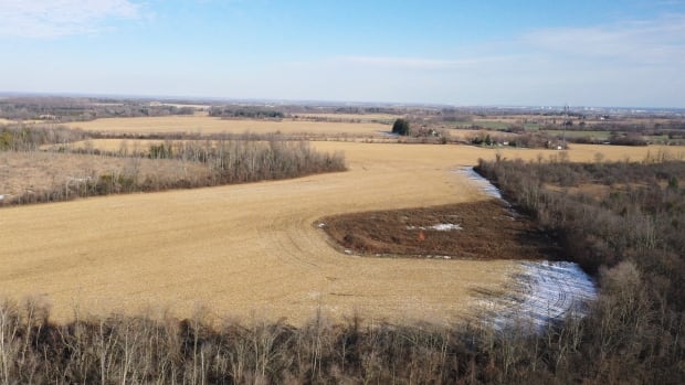 ontario integrity commissioner investigating government decision to open greenbelt land to housing development
