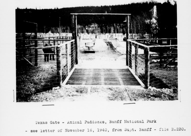A black and white image depicts a Texas Gate, as enclosed in a letter dated 1940.