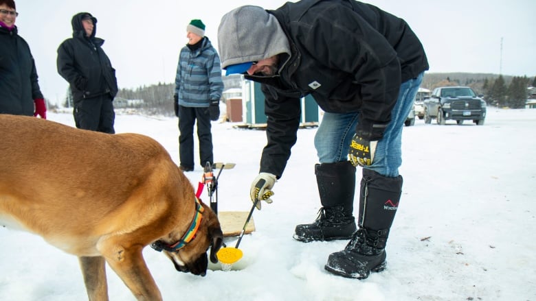 A man and a dog check an ice fishing hole for ice build up.