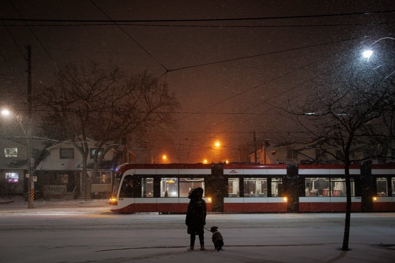 A streetcar drives by in the dark as a person watches with her dog.