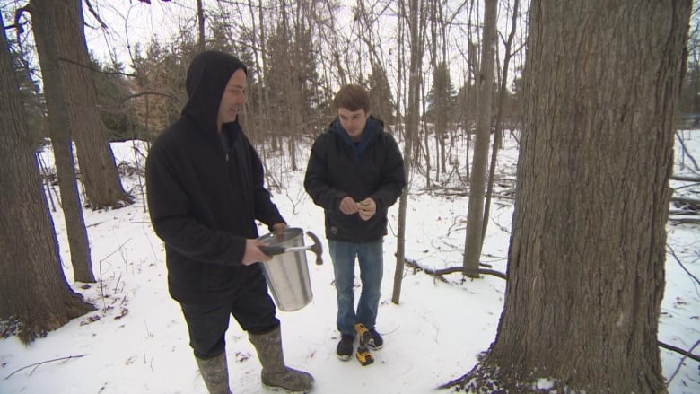 A man and his son get ready to drill a hole into a maple tree and harvest its sap.