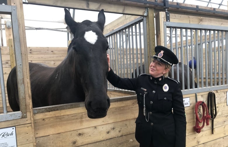 retired police officer breaks silence over rnc dismantling horse therapy program 3