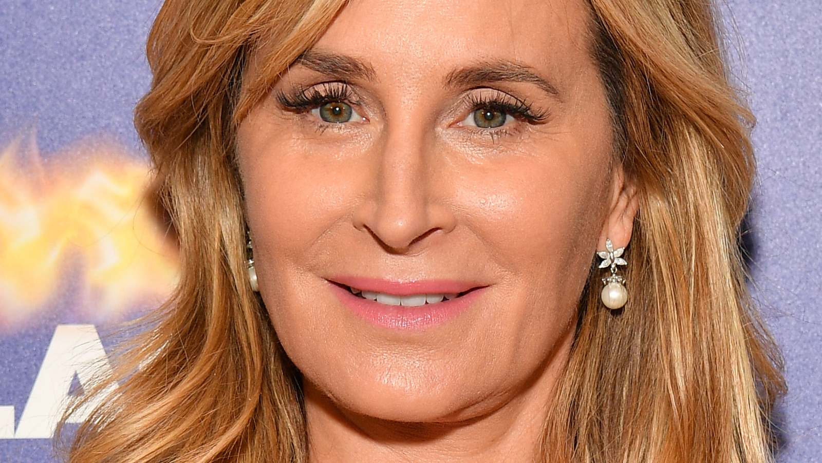 rhony did sonja morgan really used to party with madonna