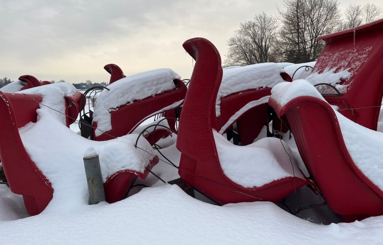 Rental sleighs collect snow as they sit unused while the canal in Ottawa remains closed.