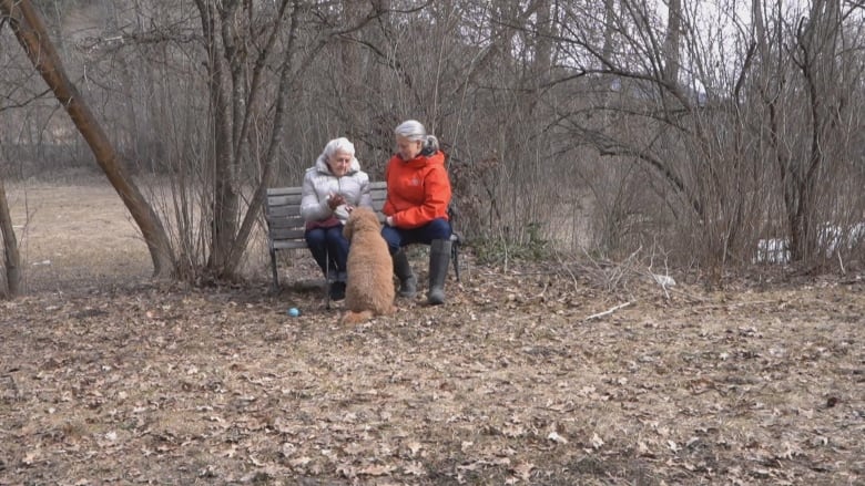 Two women sit on a bench and pet a dog.