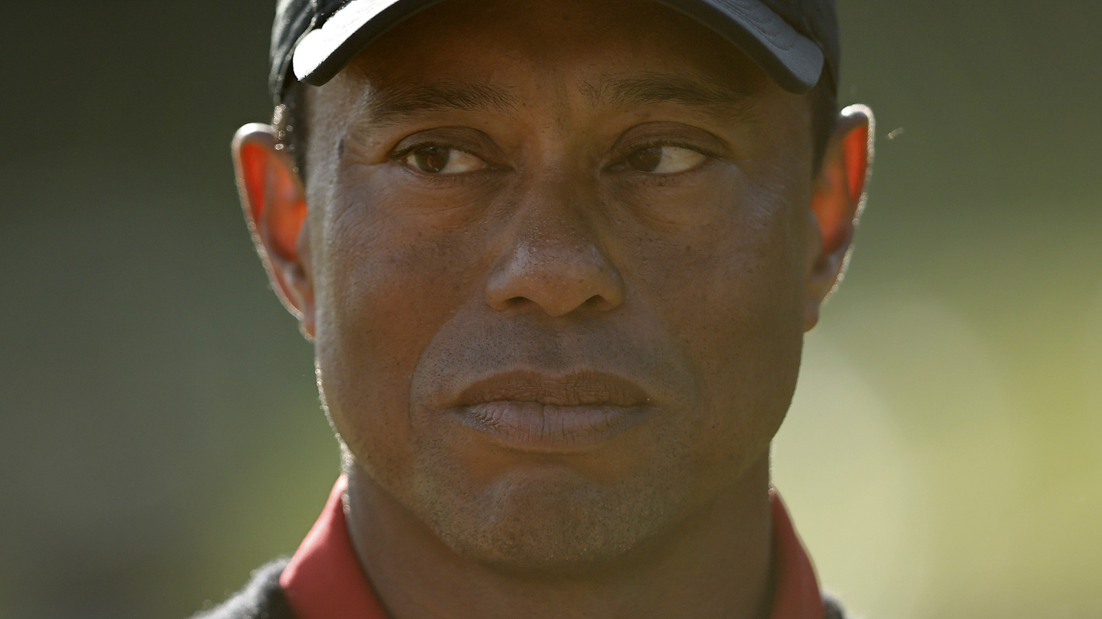 lawyers unpack erica hermans staggering 30 million suit against tiger woods