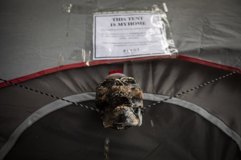 A sheet that reads 'THIS TENT IS MY HOME' is hung on a tent, with a skull ornament beneath it.